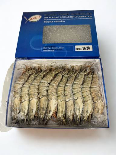 [P1201] Gamba BT 16/20 1KG