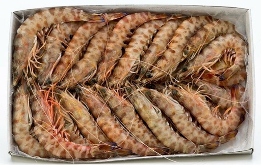 [P1202] Gamba N3 ORCI Nigeria 30/40 2KG